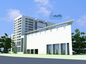 Archive Design (1) copy