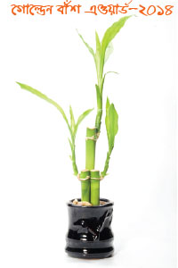 golden-bamboo-award-dhallywood