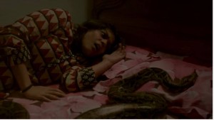 1013342_1550121818634788_3311848803805069830_n