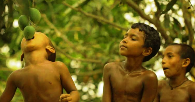 দেশে ফিরছে গাড়িওয়ালা