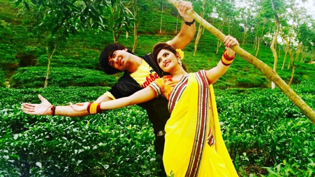 আগস্টজুড়ে জমজমাট বড়পর্দা