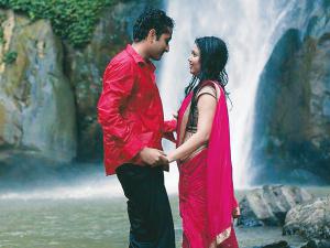 লাল টুকটুকে পরমব্রত-ভাবনা