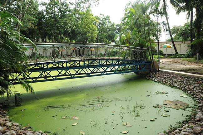 টেন্ডার আহ্বান করে এফডিসিতে অনিয়ম