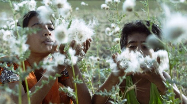 বাংলাদেশের ‘মাটির প্রজার দেশে’ সিয়াটলে