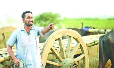 মইষাল সজল