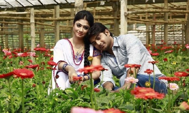 ভালোই যাচ্ছে ‌‘সুলতানা বিবিয়ানা’