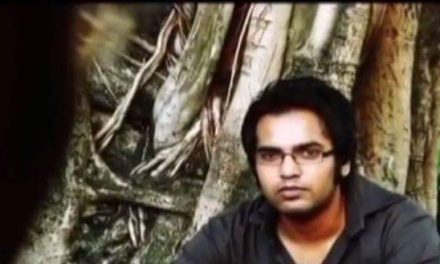 ফায়ারফ্লাইজ মানেই কি অসফল পরিণতি?