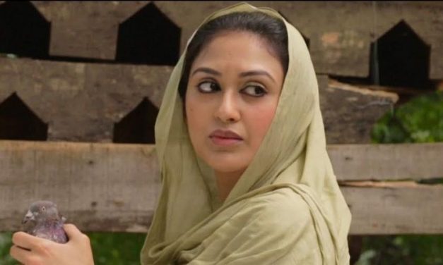 ছয় দিনে ১৩ নাটক