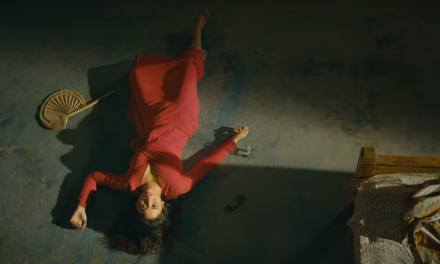 ভয়ংকর সুন্দর : একটি নাতিশীতোষ্ণ পাঠ