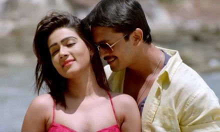 ঢাকা অ্যাটাক : বক্স অফিসেও সফল