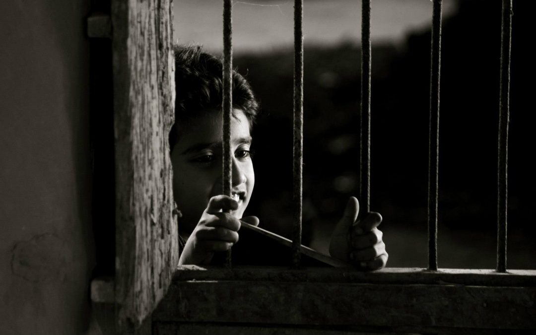 মাটির প্রজার দেশে : বাংলা চলচ্চিত্রের কাল্ট