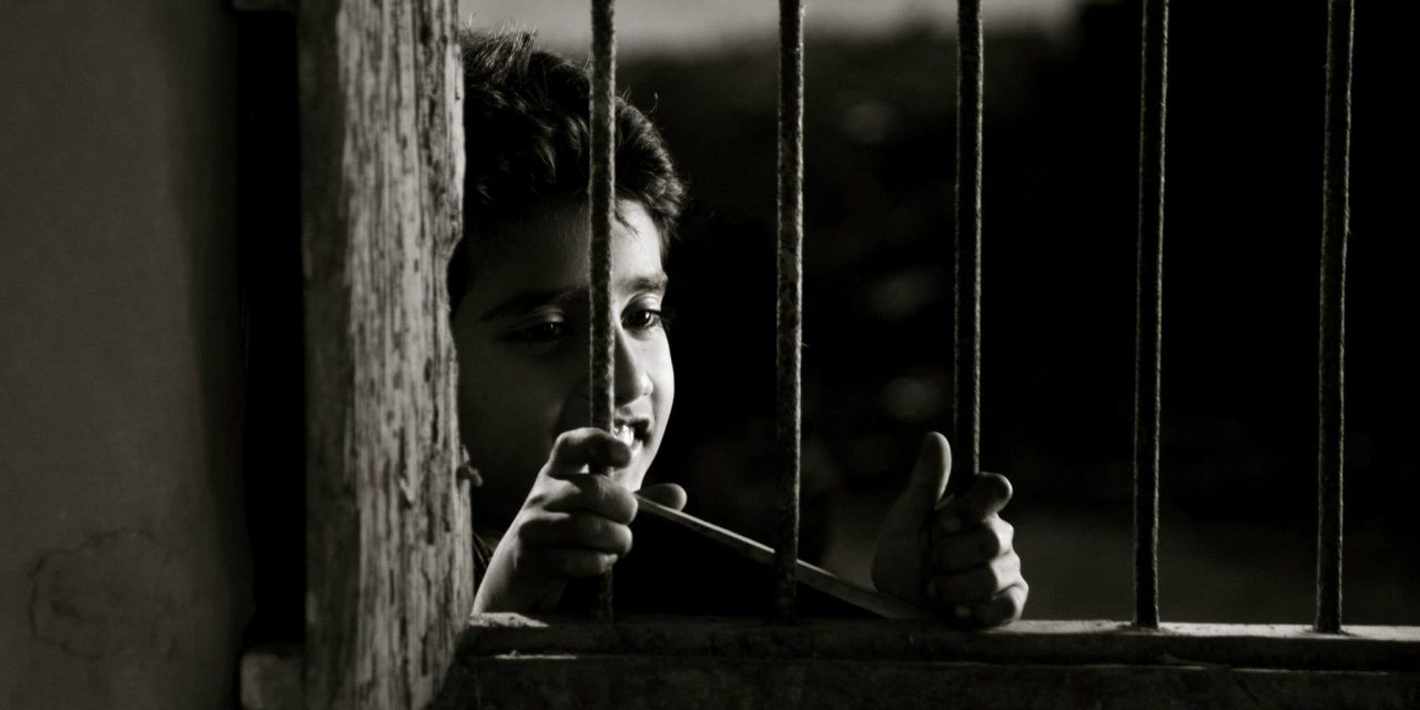 মাটির প্রজার দেশে : বাংলা চলচ্চিত্রের কাল্ট