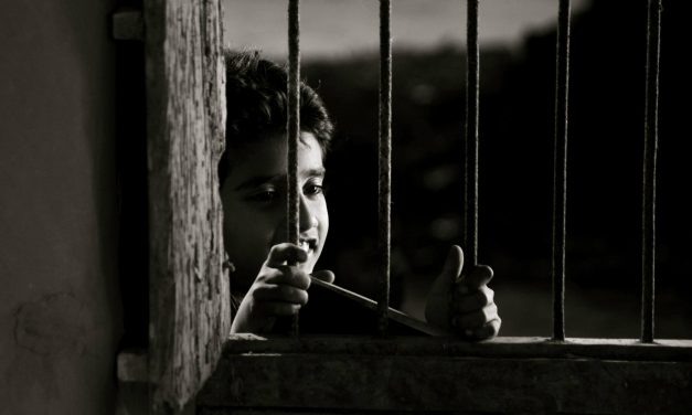 মাটির প্রজার দেশে : বাংলা চলচ্চিত্রের কাল্ট