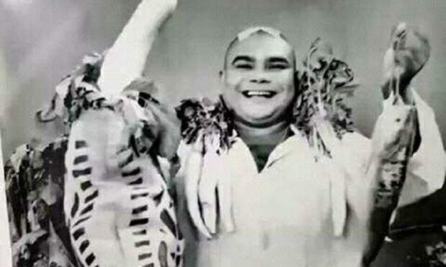 জেট বিমান থেকে এসেছে জাম্বুর নামটি