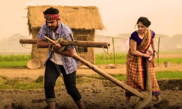 পঞ্চম সপ্তাহে ৮৭ হলে ‘পোড়ামন ২’, বুঝে নিন তালিকা