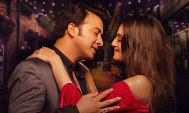 ভালো না চললেও দ্বিতীয় সপ্তাহে ১১২ প্রেক্ষাগৃহে ‘নাকাব’, কেন?