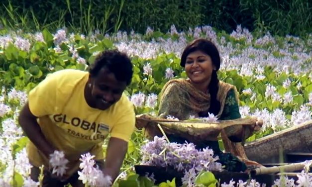 কামু চাইলে সহজ সিনেমা বানাতে পারতেন