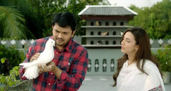 সাপলুডু: জনপ্রিয় থ্রিলার লেখক নাজিম উদ দৌলা যা বললেন