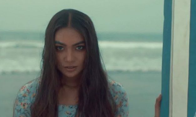 ন ডরাই : এ সিনেমার নিজস্ব ভাষা আছে