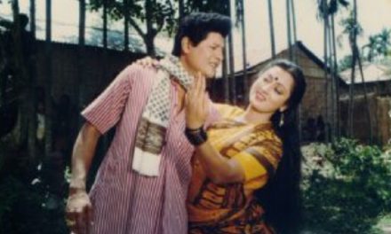 শিমুল পারুলের দিনগুলো