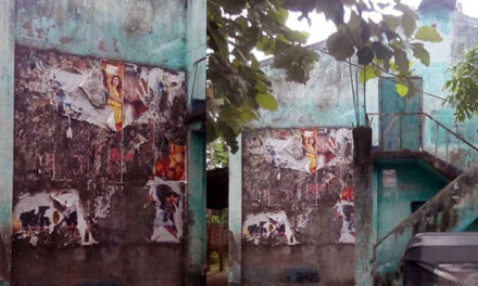 এক নজরে: কোন জেলায় কয়টি হল খোলা, কয়টি বন্ধ