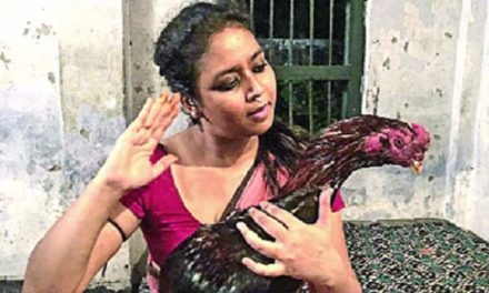 সেন্সর পেল ‘লাল মোরগের ঝুঁটি’, মুক্তি ডিসেম্বরে