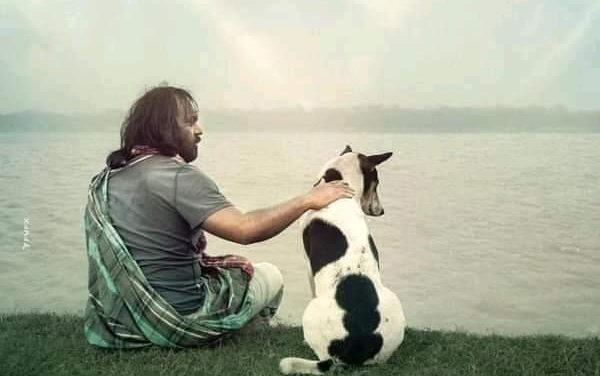 রূপসী বাংলার এক ‘রাত জাগা ফুল’