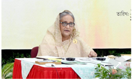 আমাদের সিনেমাগুলো এত সুন্দর যে সত্যিই মুগ্ধ হয়ে যাই: প্রধানমন্ত্রী