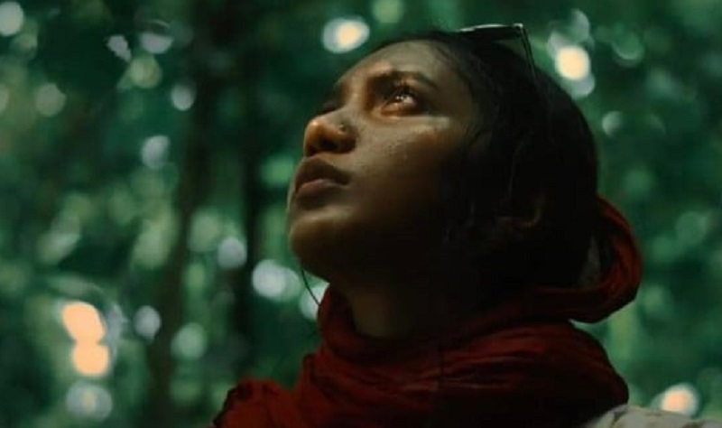 বিনামূল্যে দেখা যাবে ‘মশারি’, কথা দিলেন নুহাশ