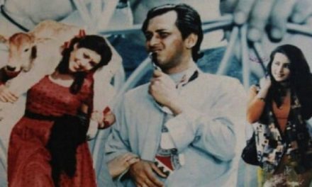 ‘আনন্দ অশ্রু’তে রয়ে গেলেন শিবলি-সালমান