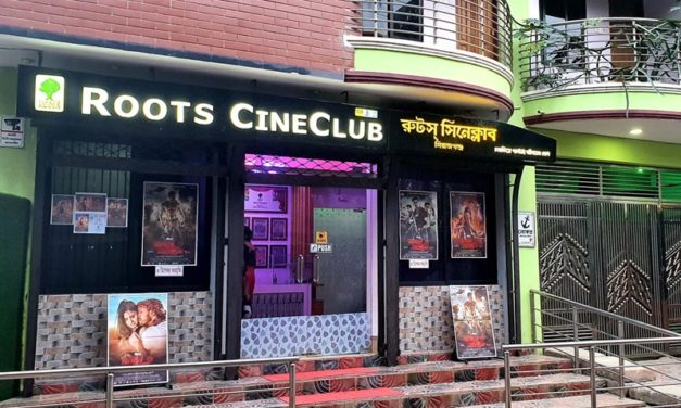 সিনেমা ব্যবসার মোড় ঘুরিয়ে দিতে পারে ২০-৩০ আসনের মিনিপ্লেক্স