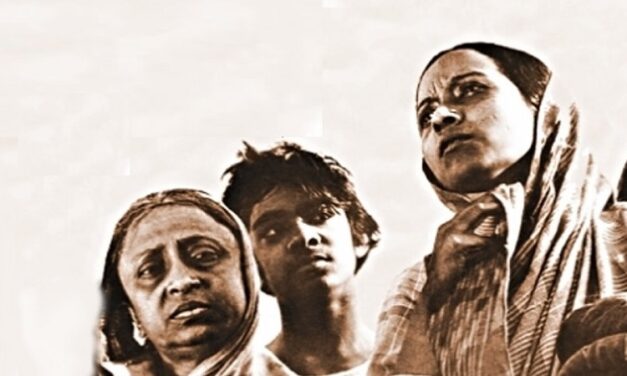 সূর্য দীঘল বাড়ীতে বোকা পিঁপড়ের দল