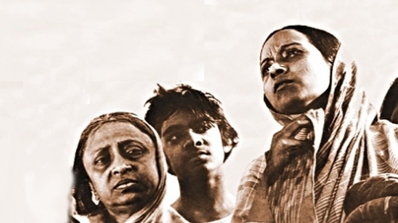 সূর্য দীঘল বাড়ীতে বোকা পিঁপড়ের দল