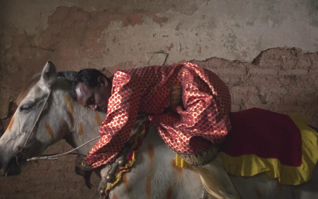 প্রামাণ্যচিত্র বিশেষ কিছু আর প্রমাণ করে না! 