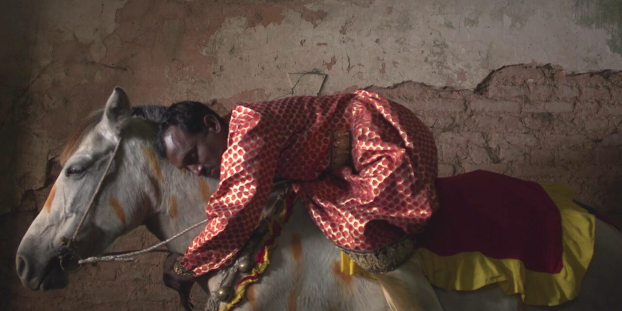 প্রামাণ্যচিত্র বিশেষ কিছু আর প্রমাণ করে না! 