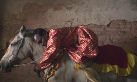 প্রামাণ্যচিত্র বিশেষ কিছু আর প্রমাণ করে না! 