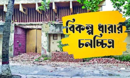 বিকল্প দৃশ্যমালার কি প্রকল্প থাকতে হয় না?