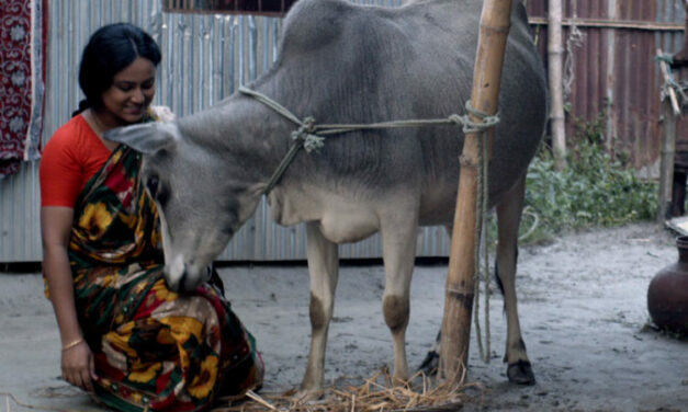 বিরল ও সার্বজনীন চলচ্চিত্র ‘সাঁতাও’