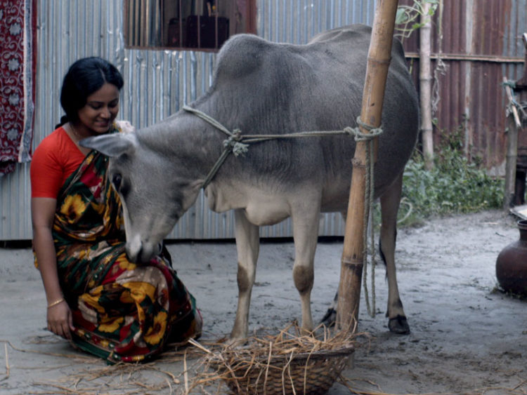 বিরল ও সার্বজনীন চলচ্চিত্র ‘সাঁতাও’