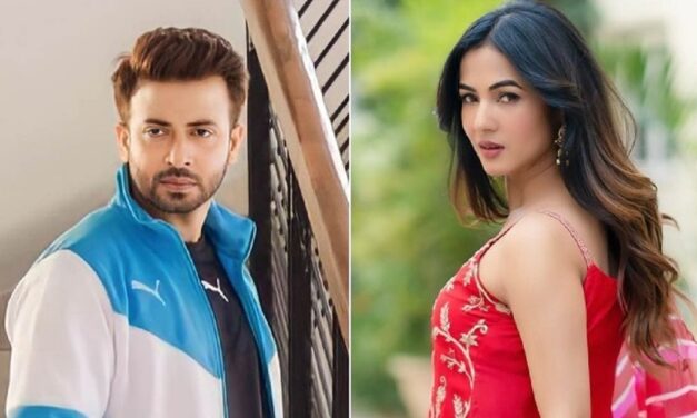 দরদ : শাকিব খানের বলিউড নায়িকার নাম জানালো এসকে মুভিজ