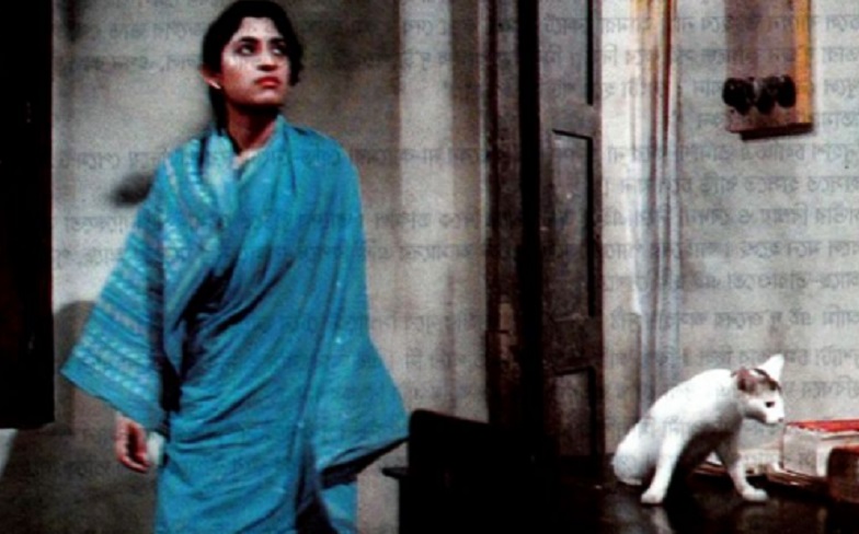 সেলুলয়েডে মুক্তিযুদ্ধ উঠে আসার আদ্যোপান্ত