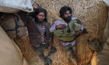 ভালগার হইতে না পারার ব্যর্থতা সমেত ‘সিনপাট’