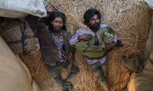 মাথা নাড়িয়ে দেওয়া ‘সিনপাট’