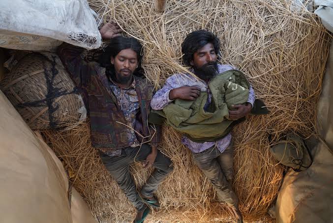 মাথা নাড়িয়ে দেওয়া ‘সিনপাট’