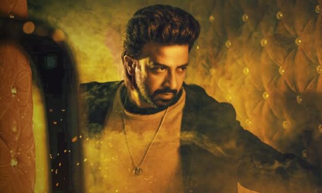 নতুনত্ব খুঁজতে গেলে হতাশ করবে ‘রাজকুমার’, তবে …