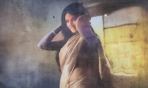 আমাদের বনলতা সেন