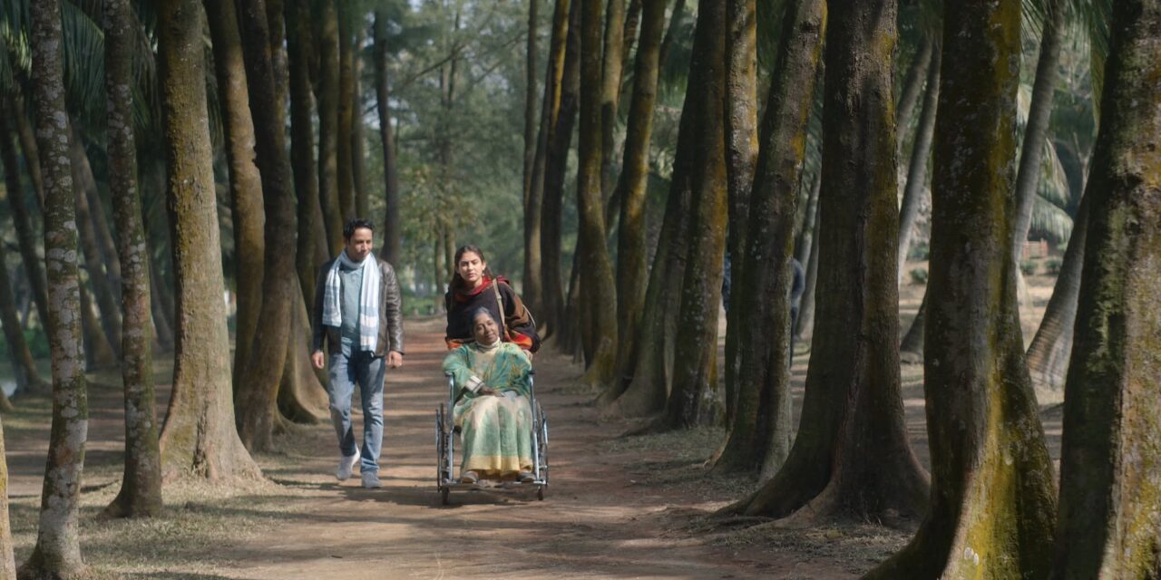 সাবা : ব্যক্তিগত অবলোকন