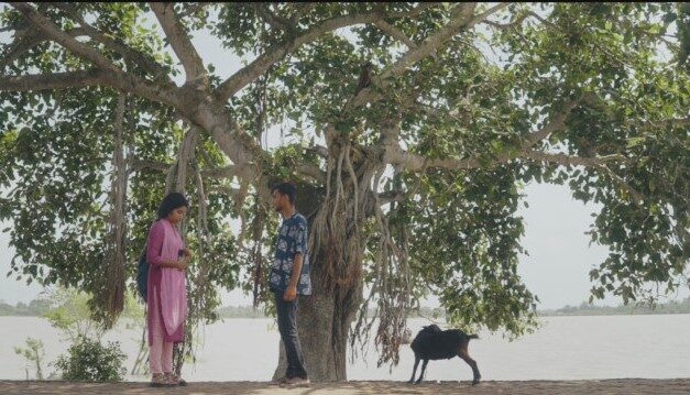 দেলুপি: জল–মাটি–মানুষের লুকানো জীবনালেখ্য