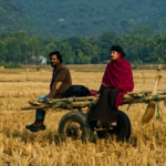 চারটি বীণার এক সুর 'প্রেশার কুকার' 1000044970