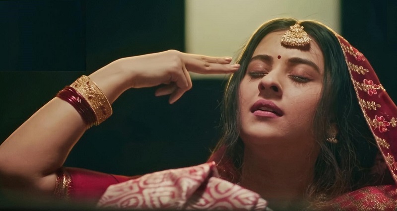 ‘পিনিক’ ও নিঃসঙ্গ বুবলি